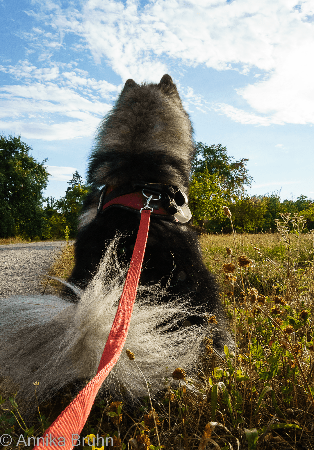 Was Q wohl beobachtet?